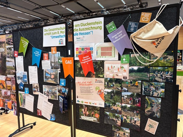 5a3e4ab9-4ee2-47d4-8f8a-41ed3dbaa9d6